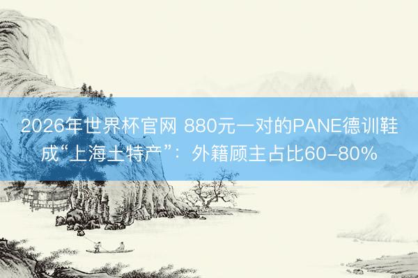 2026年世界杯官网 880元一对的PANE德训鞋成“上海土特产”:外籍顾主占比60-80%
