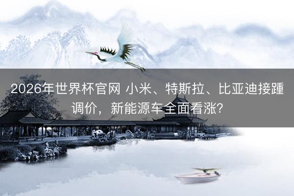 2026年世界杯官网 小米、特斯拉、比亚迪接踵调价，新能源车全面看涨？