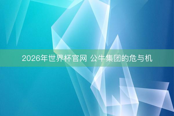 2026年世界杯官网 公牛集团的危与机