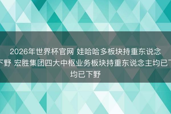 2026年世界杯官网 娃哈哈多板块持重东说念主下野 宏胜集团四大中枢业务板块持重东说念主均已下野