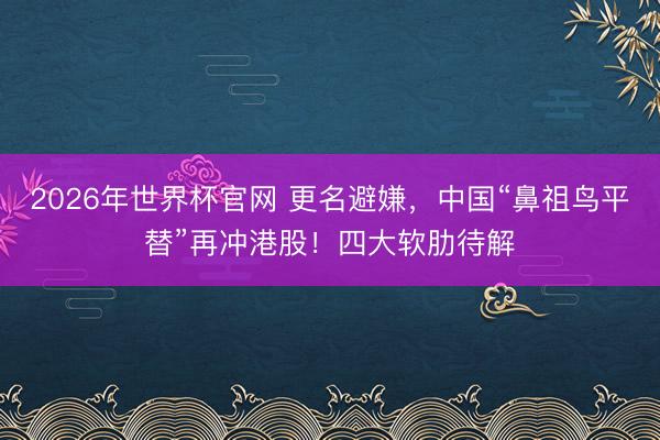 2026年世界杯官网 更名避嫌,中国“鼻祖鸟平替”再冲港股!四大软肋待解
