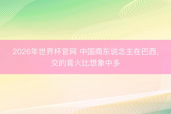 2026年世界杯官网 中国商东说念主在巴西,交的膏火比想象中多