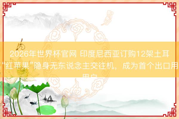 2026年世界杯官网 印度尼西亚订购12架土耳其“红苹果”隐身无东说念主交往机，成为首个出口用户