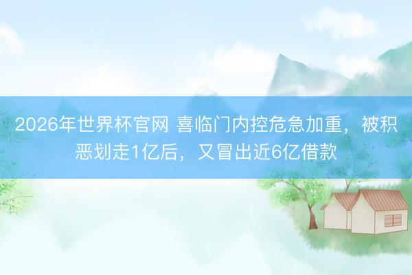 2026年世界杯官网 喜临门内控危急加重，被积恶划走1亿后，又冒出近6亿借款