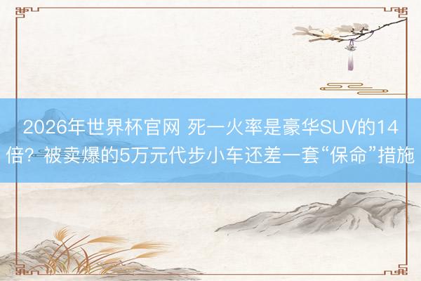 2026年世界杯官网 死一火率是豪华SUV的14倍？被卖爆的5万元代步小车还差一套“保命”措施