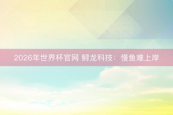 2026年世界杯官网 鲟龙科技：慢鱼难上岸