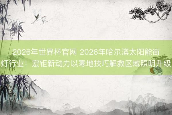 2026年世界杯官网 2026年哈尔滨太阳能街灯行业:宏钜新动力以寒地技巧解救区域照明升级