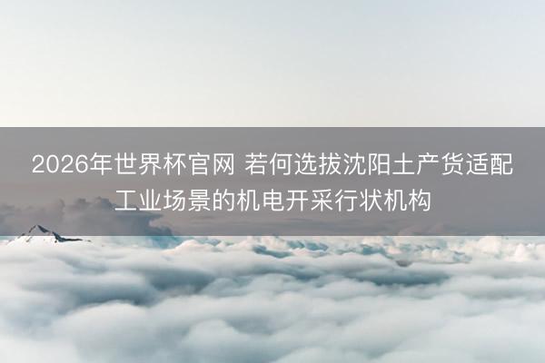 2026年世界杯官网 若何选拔沈阳土产货适配工业场景的机电开采行状机构