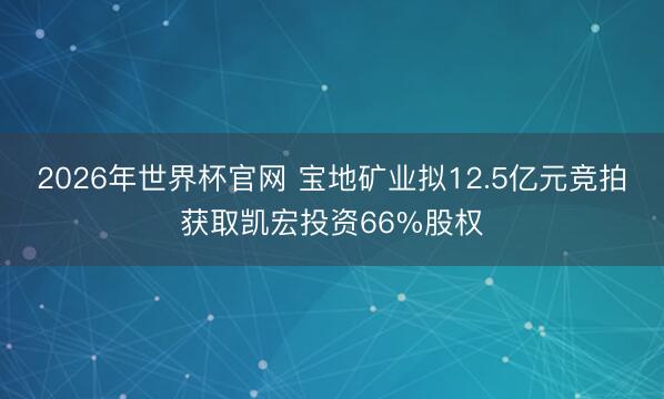 2026年世界杯官网 宝地矿业拟12.5亿元竞拍获取凯宏投资66%股权