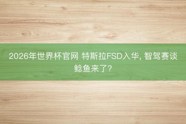 2026年世界杯官网 特斯拉FSD入华， 智驾赛谈鲶鱼来了?