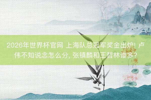 2026年世界杯官网 上海队总冠军奖金出炉! 卢伟不知说念怎么分, 张镇麟和王哲林谁多?