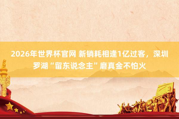2026年世界杯官网 新销耗相逢1亿过客,深圳罗湖“留东说念主”磨真金不怕火